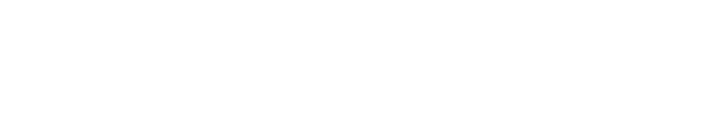 SCHNIZER ITALIA